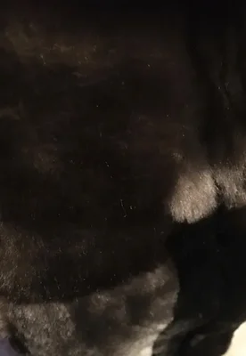 Фото отзыва